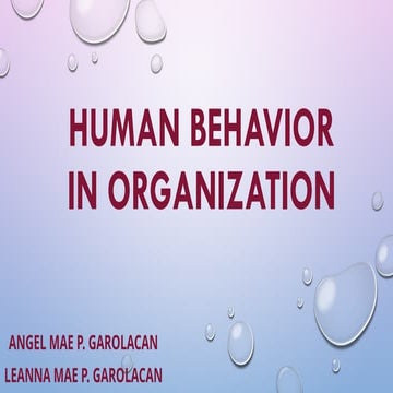 Group 4 - Values, Attitudes, and Job Satisfaction.pptx