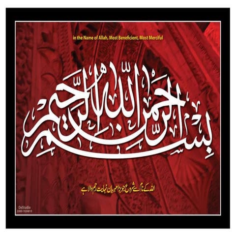 organizational structures 