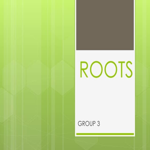 ROOTS