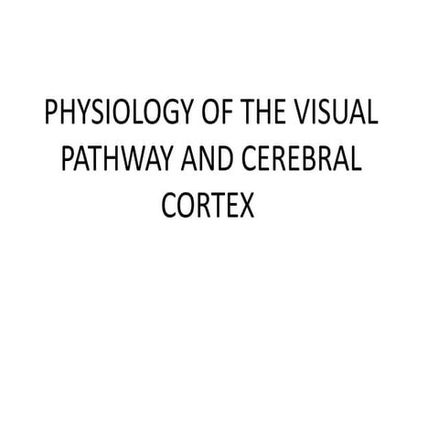 GROUP 4, VISUAL PATHWAY PHYSIOLOGY EYE.pptx