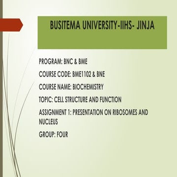 PRESENTATION ABOUT RIBOSOMES AND NUCLEUS