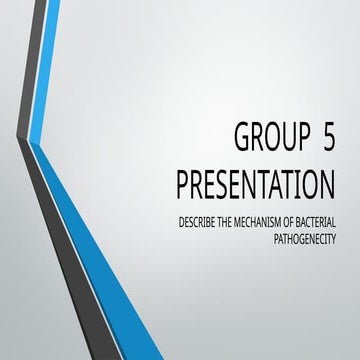 Group  five Bacteriology Presentation.pptx