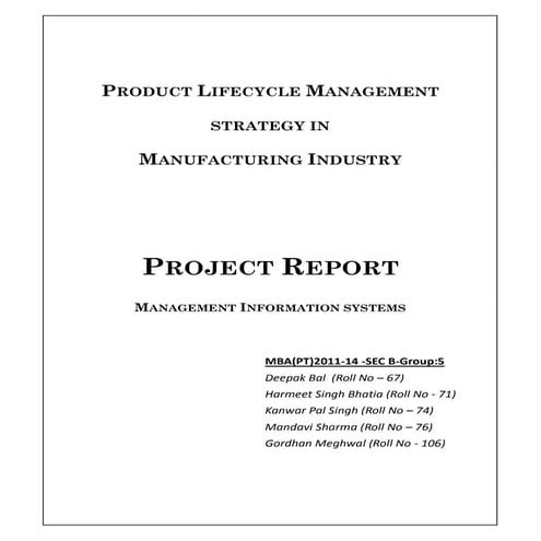 PLM STRATEGY IN MANUFACTURING INDUSTRY