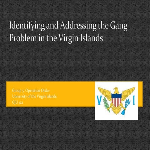 Criminal Law 122 Spring 2012 Professor Whitaker Group 5: Operation Order