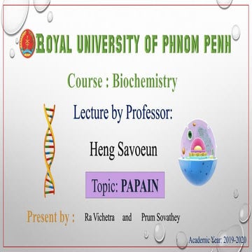  topic papain enzyme 