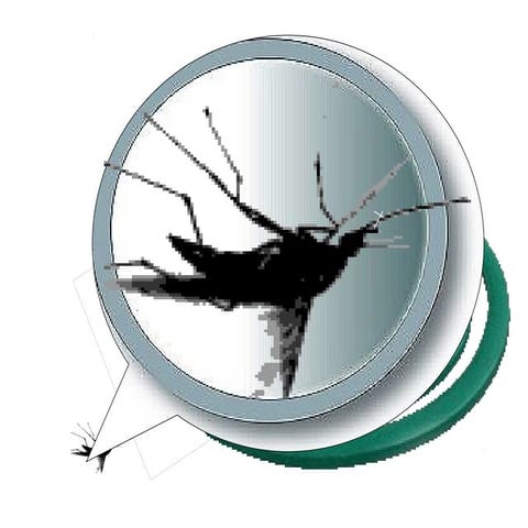 Organic Mosquito Coil making 