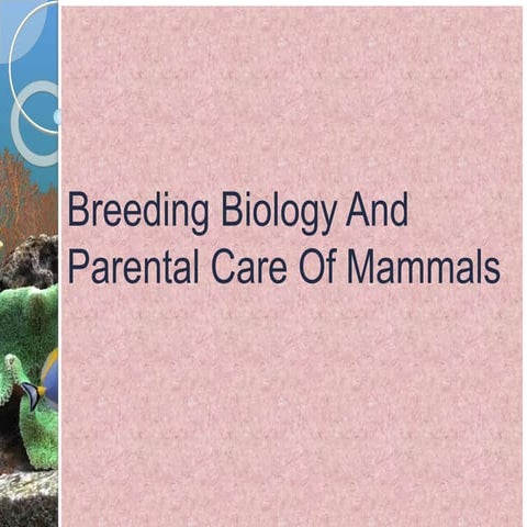 Breeding Biology and Parental Care of Mammals