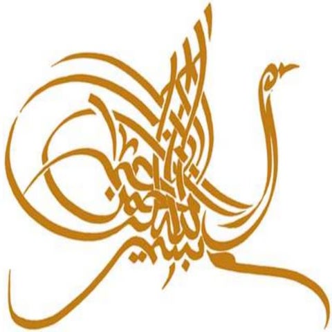 Alokozay Marketing Presentation