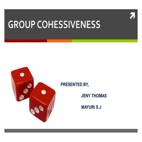 Group cohesion