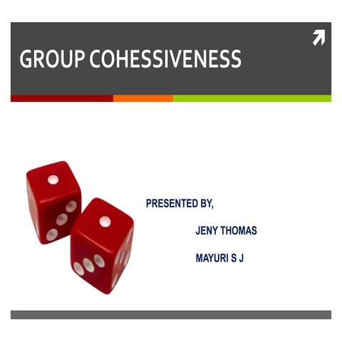 Group cohesion