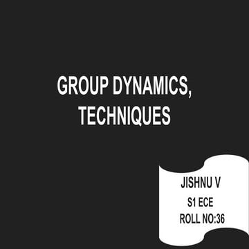 Group Dynamics slides