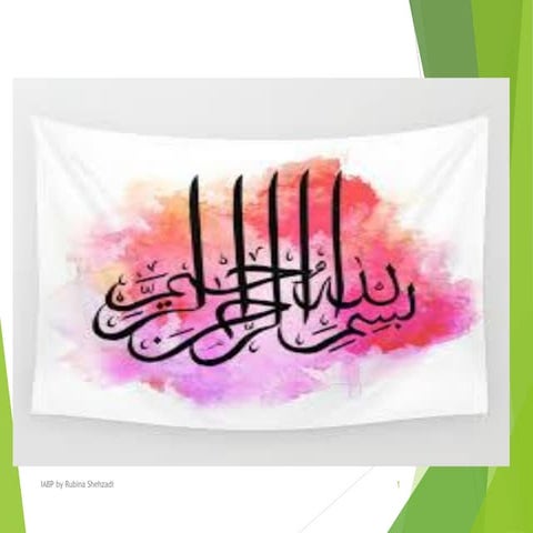 Intra Aortic Balloon Pump by Rubina Shehzadi RN