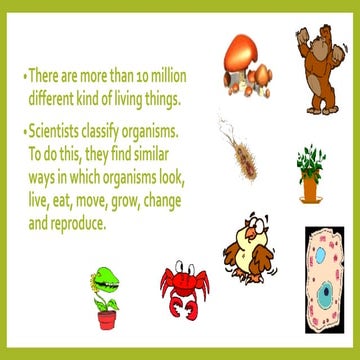 Grouping living things