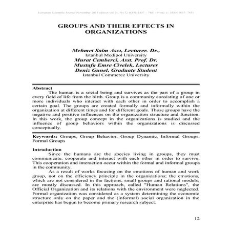 Groups and their effects.....pdf