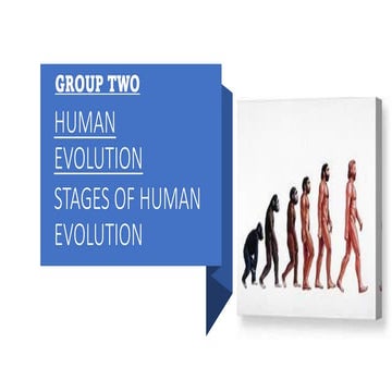 presentation on human evolution