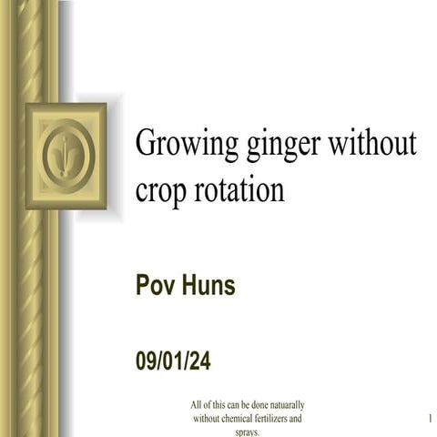growing ginger without crop rotation and others