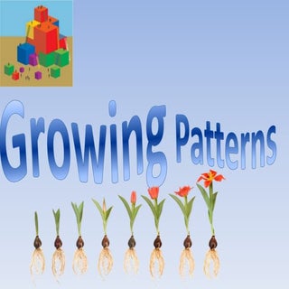 Growing Patterns