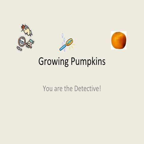Growing pumpkins as detectives