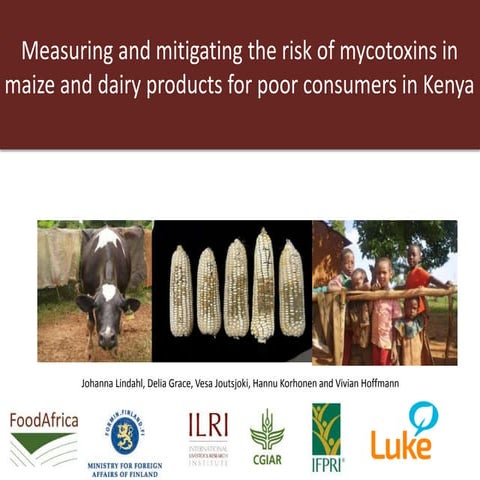 Measuring and mitigating the risk of mycotoxins in maize and dairy products f...