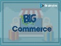 Grows your business with big commerce