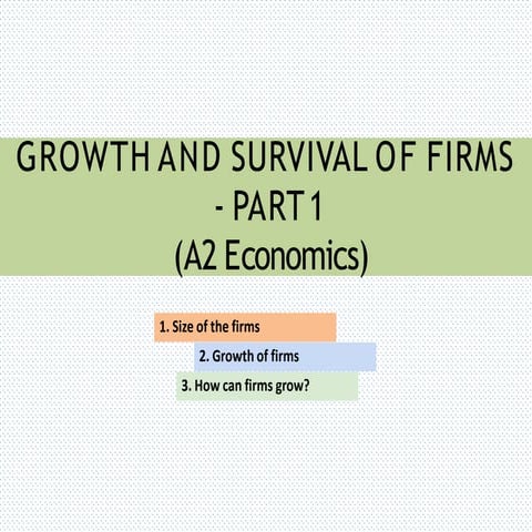 Growth and survival of firms - Part 1.pptx