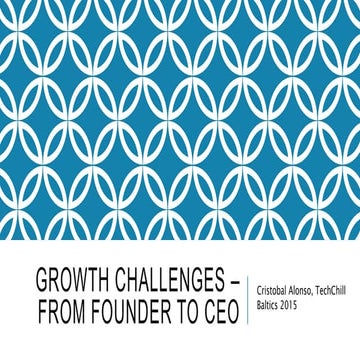 TechChill 20115 - Growth challenges – from founder to ceo 
