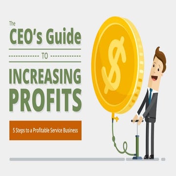 The CEO's Guide to Increasing Profits
