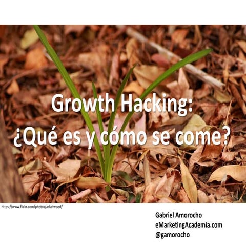 ¿Qué es "Growth Hacking" y Cómo se Come?