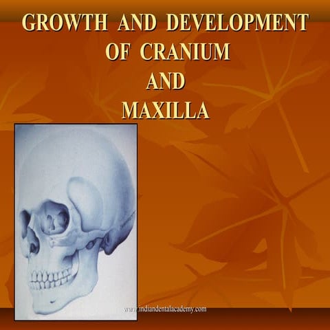 Growth and development of cranium and maxilla..