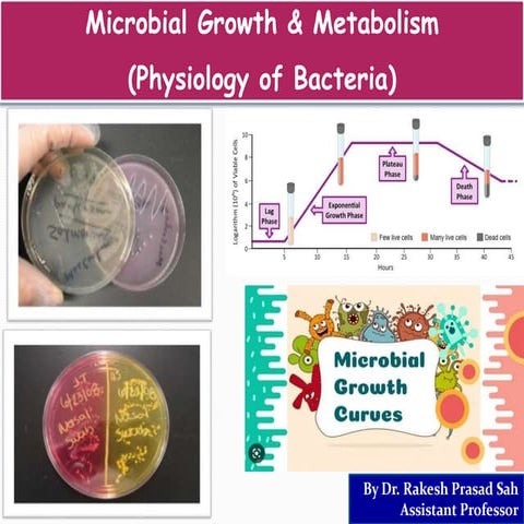 Physiology of Bacteria.pptx