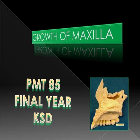 Growth of maxilla