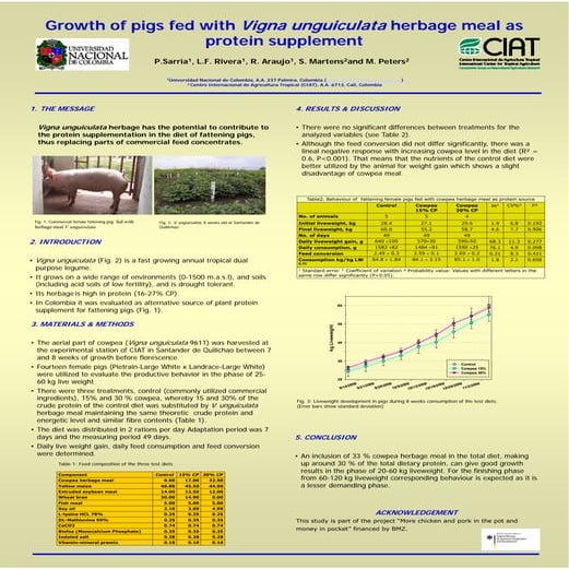 Poster16: Growth of pig fed with Vigna unguiculata herbage meal as protein su...