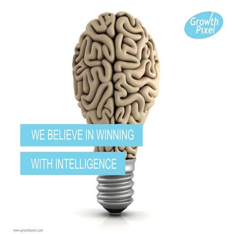 Growth Pixel Growth Consultancy