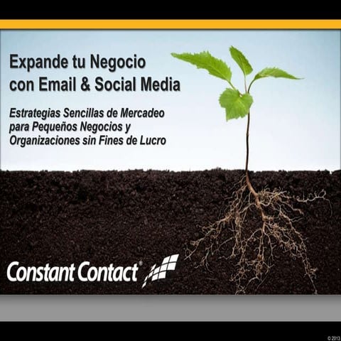 Expande tu Negocio con Email Marketing