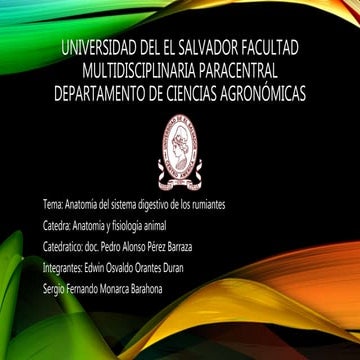 Grpo.14.anatomia del sistema digestivo de los rumiantes