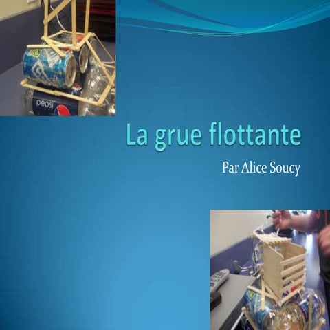 La grue flottante