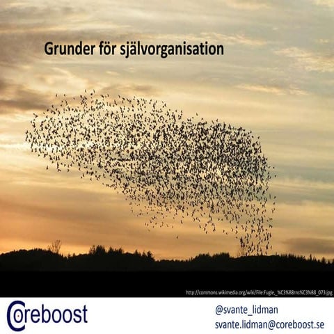 Grunder för självorganisation   devlin 2014