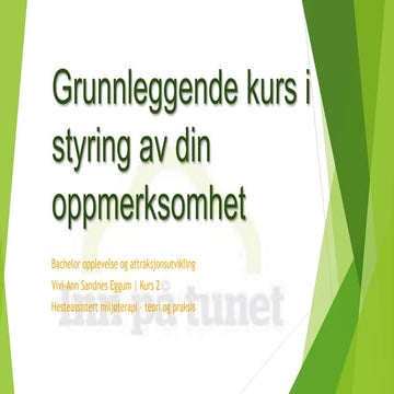 Grunnleggende kurs i styring av oppmerksomhet kurs ii