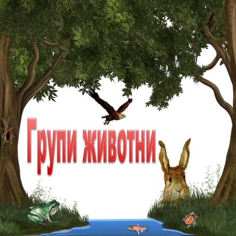 Групи животни 1.клас