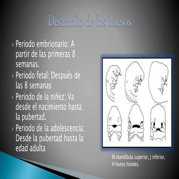 Carpograma | PDF