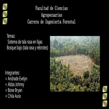 Tala rasa en fajas y monte bajo (tala rasa y rebrote) -  Sistema Monocíclico 