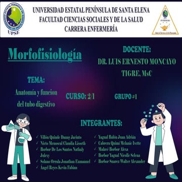 GRUPO #1 ANATOMIA Y FUNCION  DEL TUBO DIGESTIVO.pdf