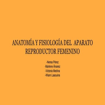 Grupo 2  Aparato reproductor femenino