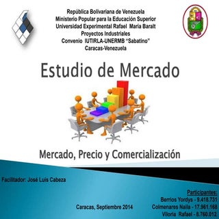 Estudio de Mercado - Mercado Precio...