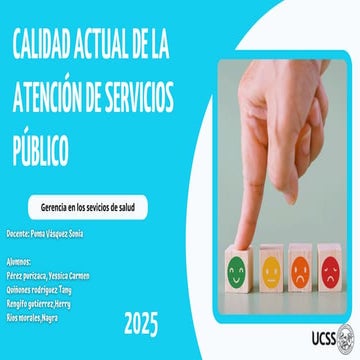 PLAN ANUAL GESTION DE CALIDAD EN LOS SERVICIOS DE SALUD 2025.pdf