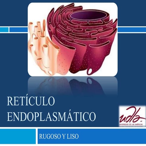 RETICULO ENDOPLASMATICO LISO Y RUGOSO_20240209_010234_0000.PDF