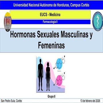 Comprehensive Overview of Male and Female Sex Hormones and Their ...