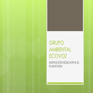 Grupo ambiental ecovoz