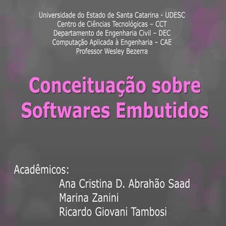 Software Embutido