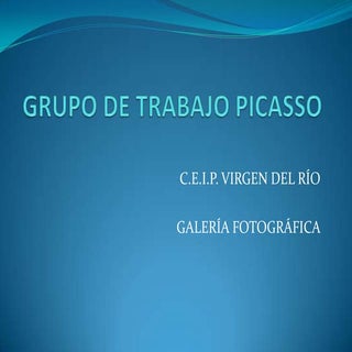 Grupo de trabajo picasso galeria fo...